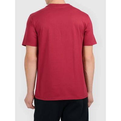 2. Men's printed T-shirt 4F 4FWAW26TTSHM3578-61S