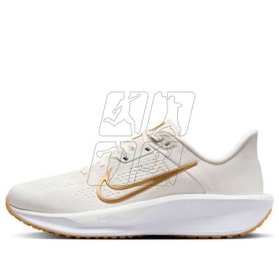 2. Nike Quest 6 FD6034-003 shoes