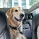 8. Spigen PS100 Universal Pet Seat Belt - Black