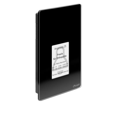 Auerswald TFS-Dialog 400 Access Control Terminal