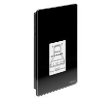 Auerswald TFS-Dialog 400 Access Control Terminal