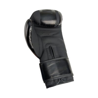 18. RPU-VOLT boxing gloves