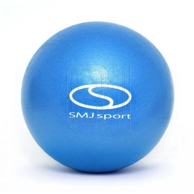 Pilates rubber gym ball PVC BL032 25 cm HS-TNK-000009387