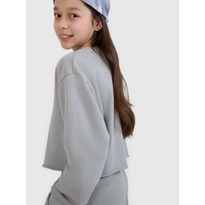 2. Girls' sweatshirt without a hood, 4F 4FJWSS25TSWSF1504-25S