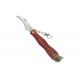 SCK Mushrooms Mushroom Picker's Knife with Compass
