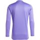 2. adidas Tiro 24 Competition Long Sleeve Goalkeeper Shirt M IN0406