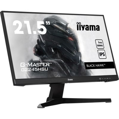 4. Iiyama 22 G2245HSU-B2 HDMI DP USB Monitor - Flat Screen - 54.6 cm