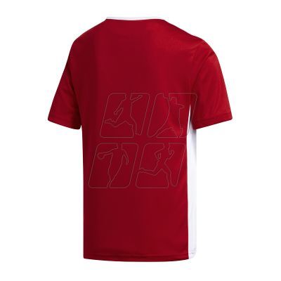 2. T-Shirt adidas Entrada 18 Jr CF1050