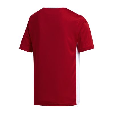 2. adidas Entrada 18 Jr CF1050 T-shirt