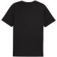 2. Puma Ess Small Logo Tee M 682538 01