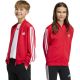 adidas Essentials Cimacool Kids Sweatshirt Red KQ9728