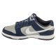 2. Nike Dunk Low Retro M IB3079-400 shoes