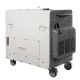5. Diesel generator KS 9200HDES-1/3 ATSR 230/400V, electric start (EURO V)