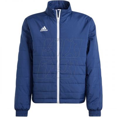 Adidas Entrada 22 Jr IB6072 jacket