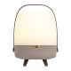 Koody Lite-up Play 2.0 Earth Portable LED Lamp with Built-in JBL Speaker