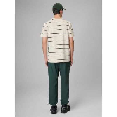 2. Men's casual joggers 4F 4FRSS26TTROM1915-40S