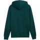 3. Puma ESS Small No. 1 Logo Hoodie Green 692914 70