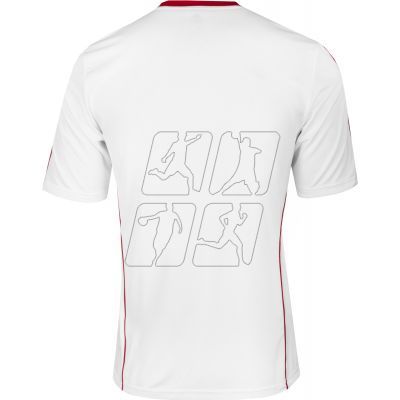 2. Adidas Squadra 13 Junior Z20625 football jersey
