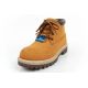 14. Skechers M 205274/WTN shoes