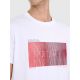 4. Men's regular printed T-shirt 4F 4FRAW25TTSHM3224-10S