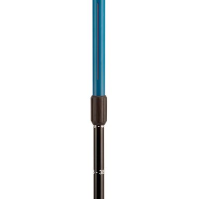 7. ROSSIGNOL Telescopic Jr Ski Poles - Blue