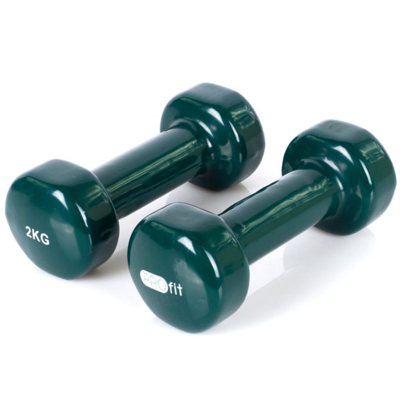 94. PROfit vinyl dumbbell 0.5kg DK 4102