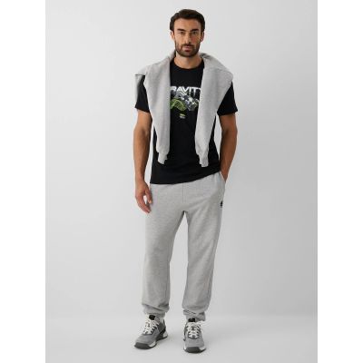 4. Men's Regular-Fit Printed T-Shirt 4F 4FRAW26TTSHM4663-20S
