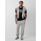 4. Men's Regular-Fit Printed T-Shirt 4F 4FRAW26TTSHM4663-20S