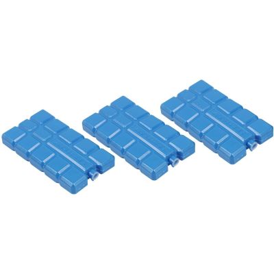 4. 3X200GR FRIDGE INSERT