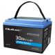 8. LiFePO4 Lithium Iron Phosphate Battery 12.8V 30Ah 384Wh BMS
