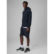 Men's sweatpants 4F 4FRSS26TSHOM0970-31S