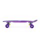 59. Nils Extreme ELECTROSTYLE PENNYBOARD PNB01 RAINBOW Skateboard 