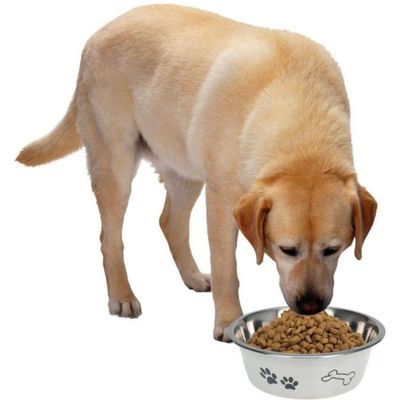 4. DOG BOWL STAINLESS STEEL 24CM