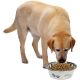 4. DOG BOWL STAINLESS STEEL 24CM