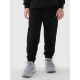 4. Tracksuit 4F Jr 4FJRAW24TAPSU040-20S