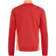6. adidas Tiro 24 Competition Training Kids' Sweatshirt Red-Orange IR5500