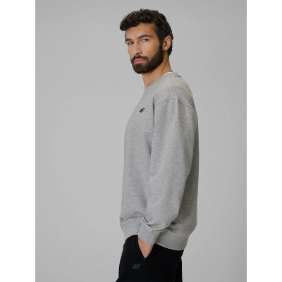 5. Men's regular sweatshirt without hood 4F 4FRMM00TSWSM3059-27M