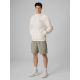 8. Men's regular hooded sweatshirt 4F 4FRSS26TSWSM2978-11S