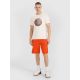 3. Men's regular printed T-shirt 4F 4FRSS25TTSHM3093-11S