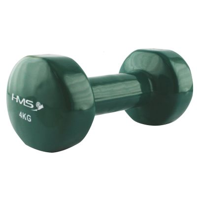17. Vinyl-coated cast iron weight HMS 4.0 KG 17023 
