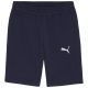 3. Puma teamGOAL Casuals men's shorts navy blue 658608 06