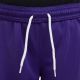 10. Nike Dry Park III NB K Jr BV6865 547 Shorts
