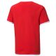 4. Puma teamLIGA Jersey Jr 704925 01
