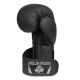 25. 10oz Boxing Gloves - Black Master - Valor Series