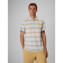 Men's regular polo shirt 4F 4FRSS26TPTSM0898-34S