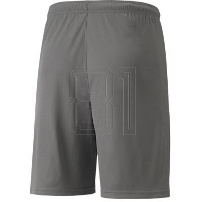 2. Puma teamLIGA Shorts Jr 704931 13