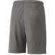 2. Puma teamLIGA Shorts Jr 704931 13