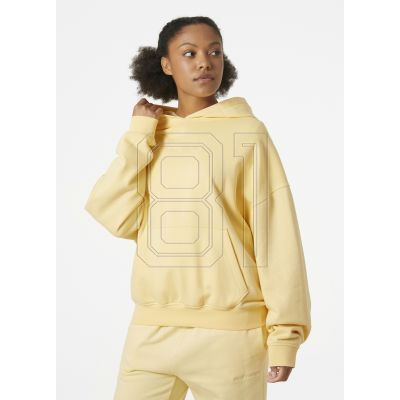 16. Helly Hansen Allure Hoodie W 53981 369