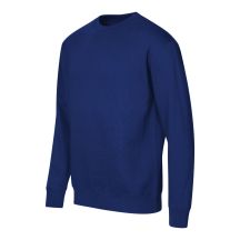 Unisex Crew Sweatshirt (cornflower blue)