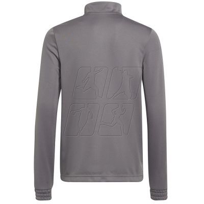 2. Sweatshirt adidas Entrada 22 Training Top Jr H57549